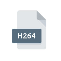 H.264動画データ