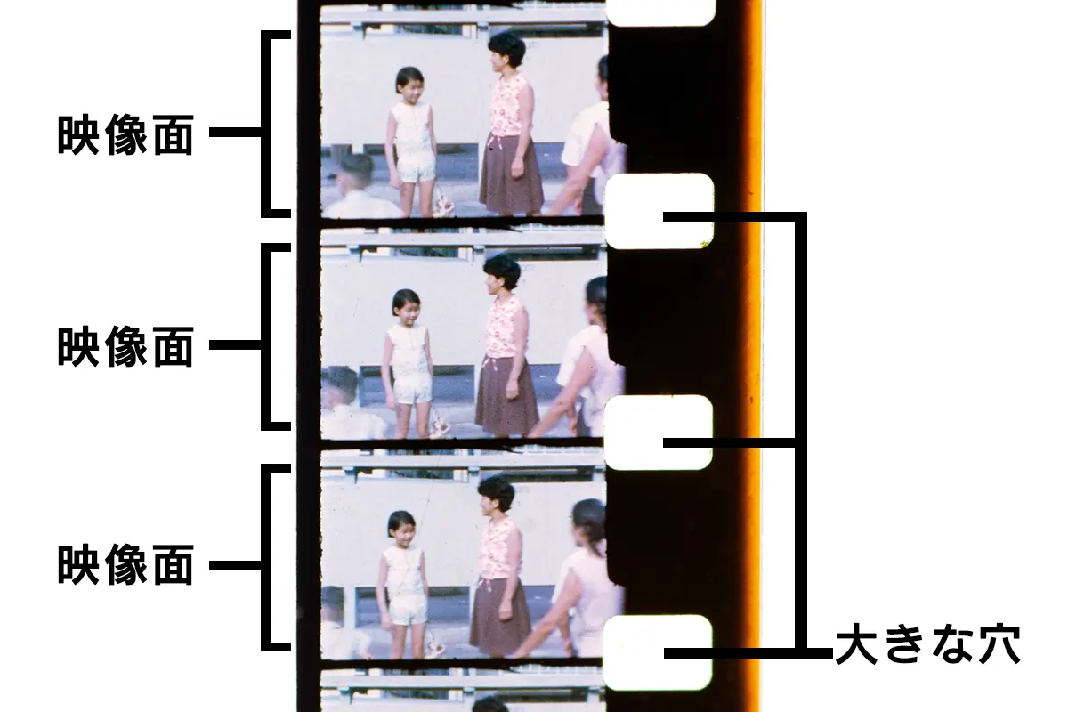 ダブル8フィルムの大きな送り穴と映像部分